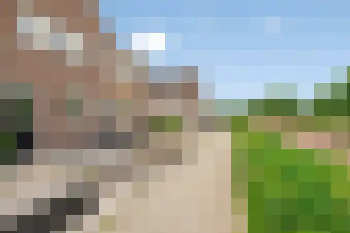 De Gemeint 5 a Boekel thumbnail 10