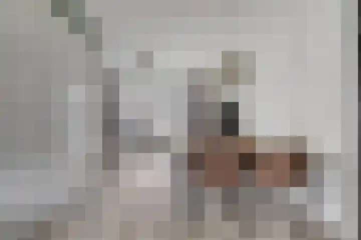 De Gemeint 5 a Boekel thumbnail 15