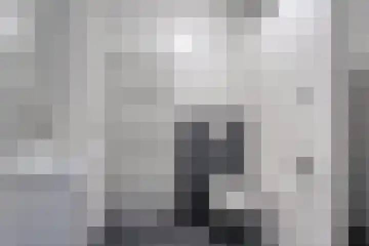 De Gemeint 5 a Boekel thumbnail 25