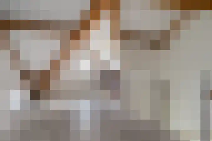 De Gemeint 5 a Boekel thumbnail 27
