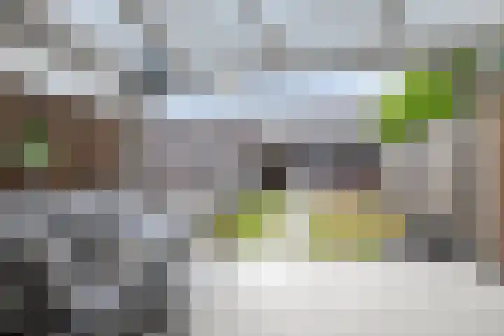 De Gemeint 5 a Boekel thumbnail 29