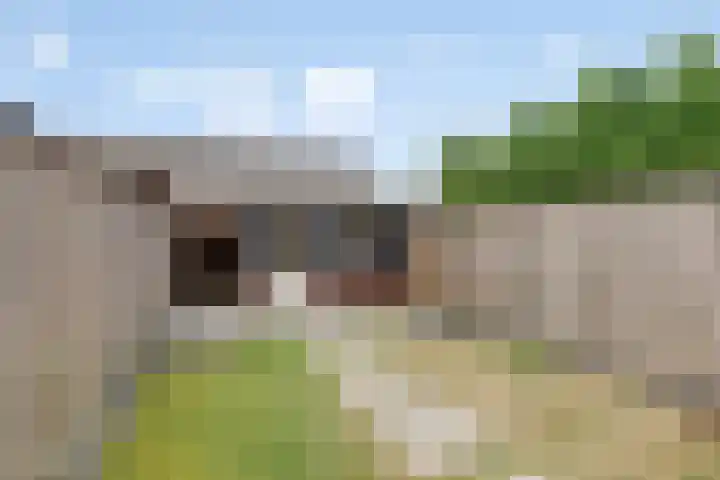 De Gemeint 5 a Boekel thumbnail 30