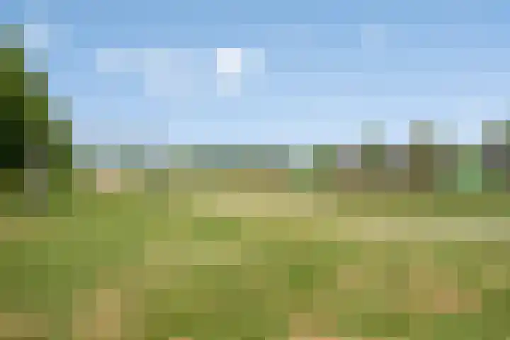 De Gemeint 5 a Boekel thumbnail 34