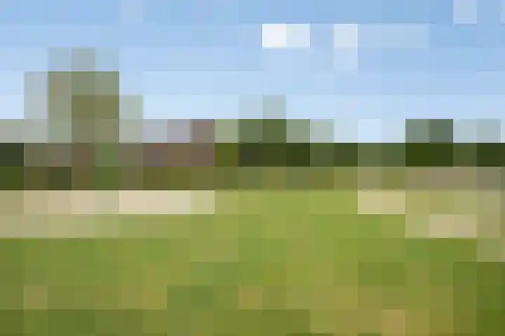 De Gemeint 5 a Boekel thumbnail 35