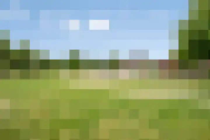 De Gemeint 5 a Boekel thumbnail 36