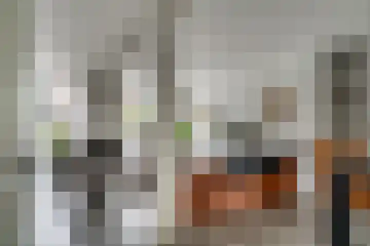 De Gemeint 9 Giesbeek thumbnail 14