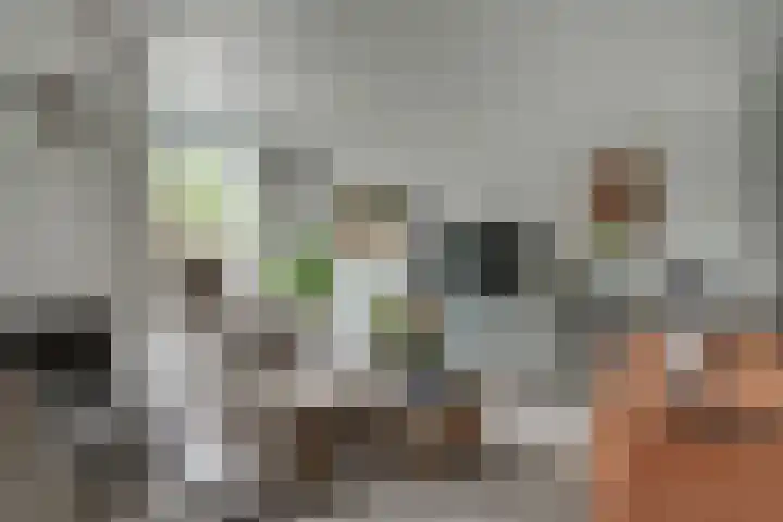 De Gemeint 9 Giesbeek thumbnail 16