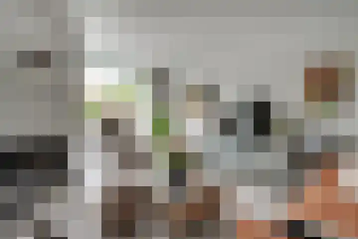 De Gemeint 9 Giesbeek thumbnail 17