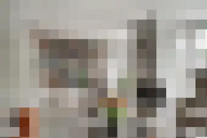 De Gemeint 9 Giesbeek thumbnail 18