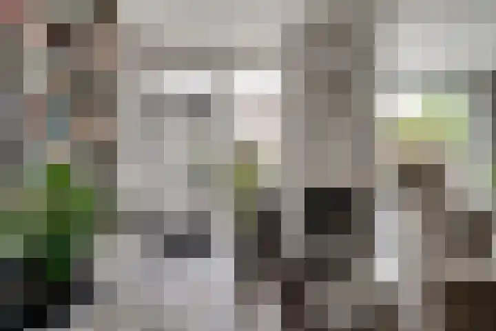 De Gemeint 9 Giesbeek thumbnail 21