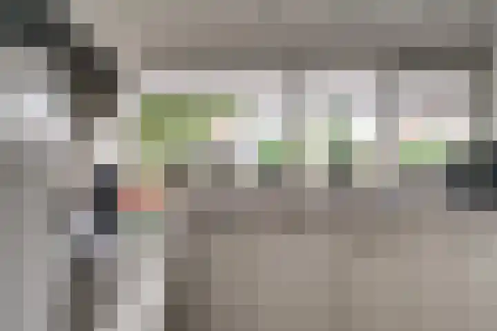 De Gemeint 9 Giesbeek thumbnail 23