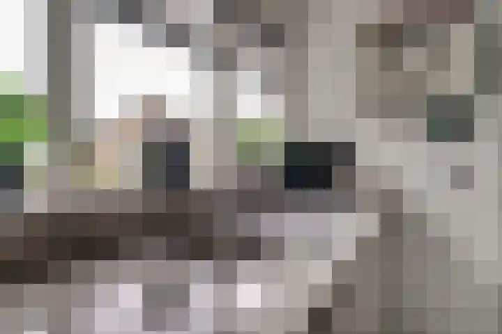 De Gemeint 9 Giesbeek thumbnail 25