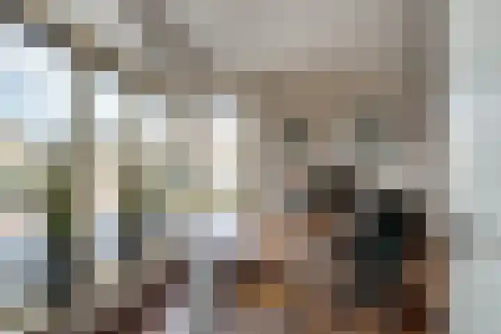 De Gemeint 9 Giesbeek thumbnail 28