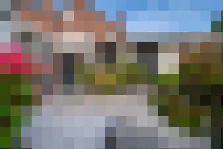 De Gemeint 9 Giesbeek thumbnail 32