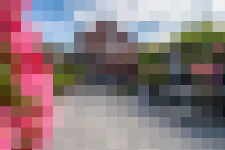 De Gemeint 9 Giesbeek thumbnail 33