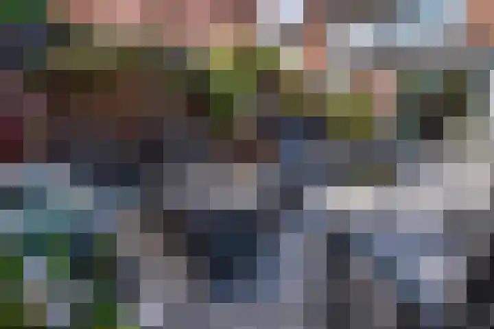 De Gemeint 9 Giesbeek thumbnail 35