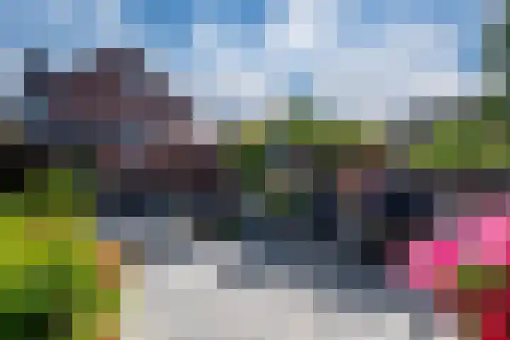 De Gemeint 9 Giesbeek thumbnail 36