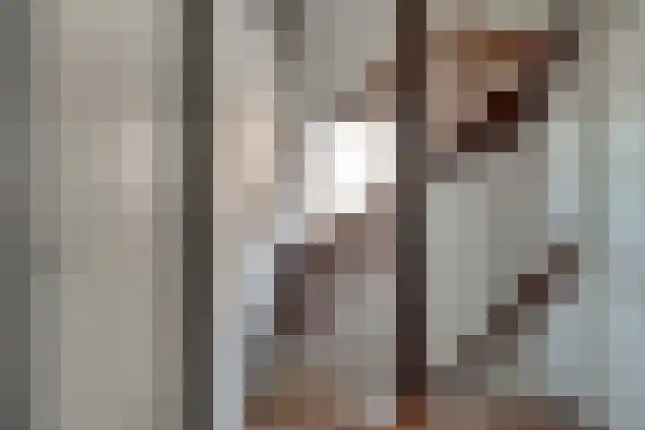 De Gemeint 9 Giesbeek thumbnail 44