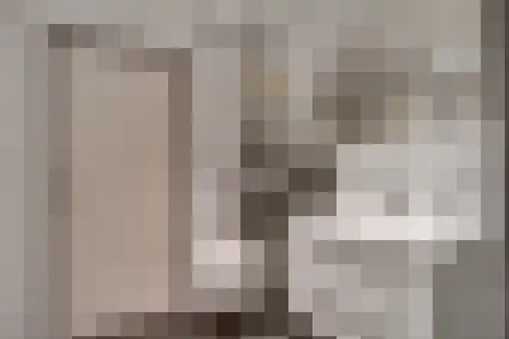 De Gemeint 9 Giesbeek thumbnail 45