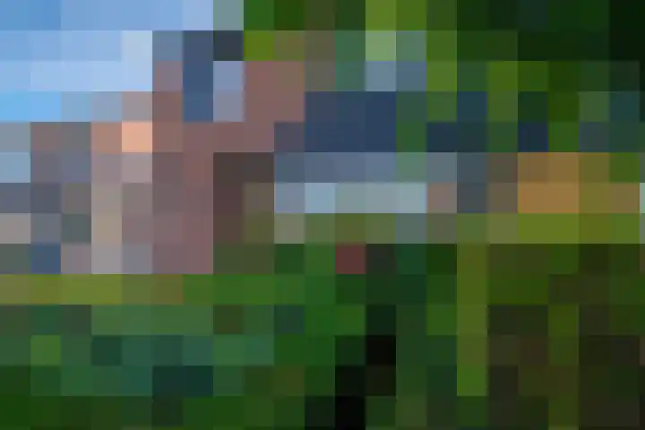 De Gemeint 9 Giesbeek thumbnail 6