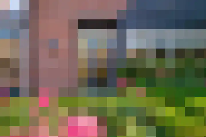 De Gemeint 9 Giesbeek thumbnail 7
