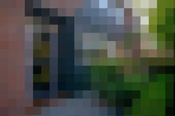 De Gemeint 9 Giesbeek thumbnail 8