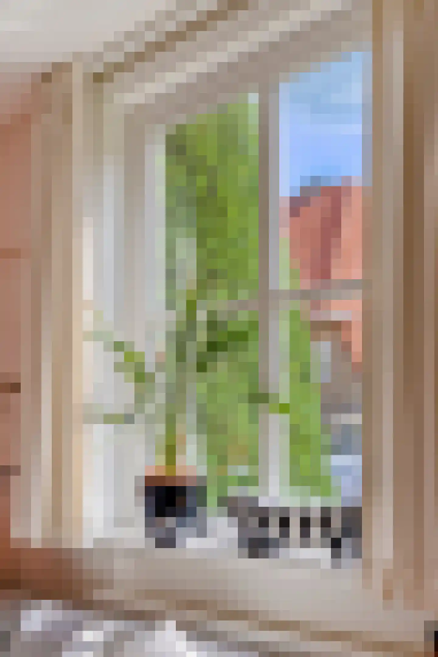de Genestetlaan 1 Eindhoven thumbnail 13