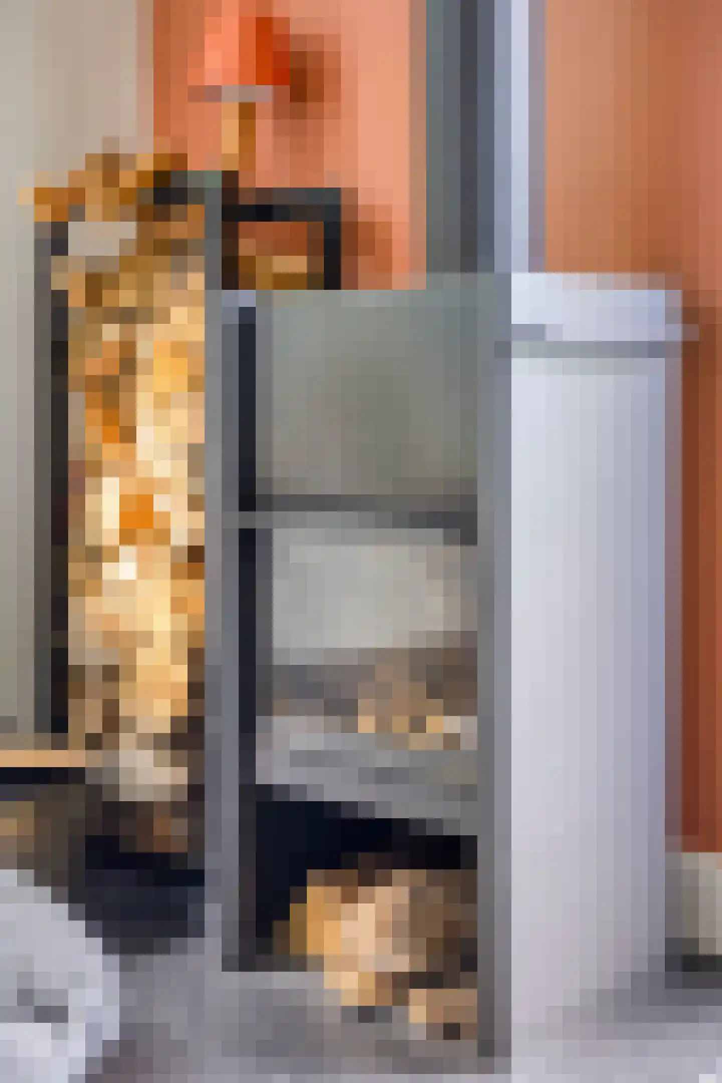 de Genestetlaan 1 Eindhoven thumbnail 19
