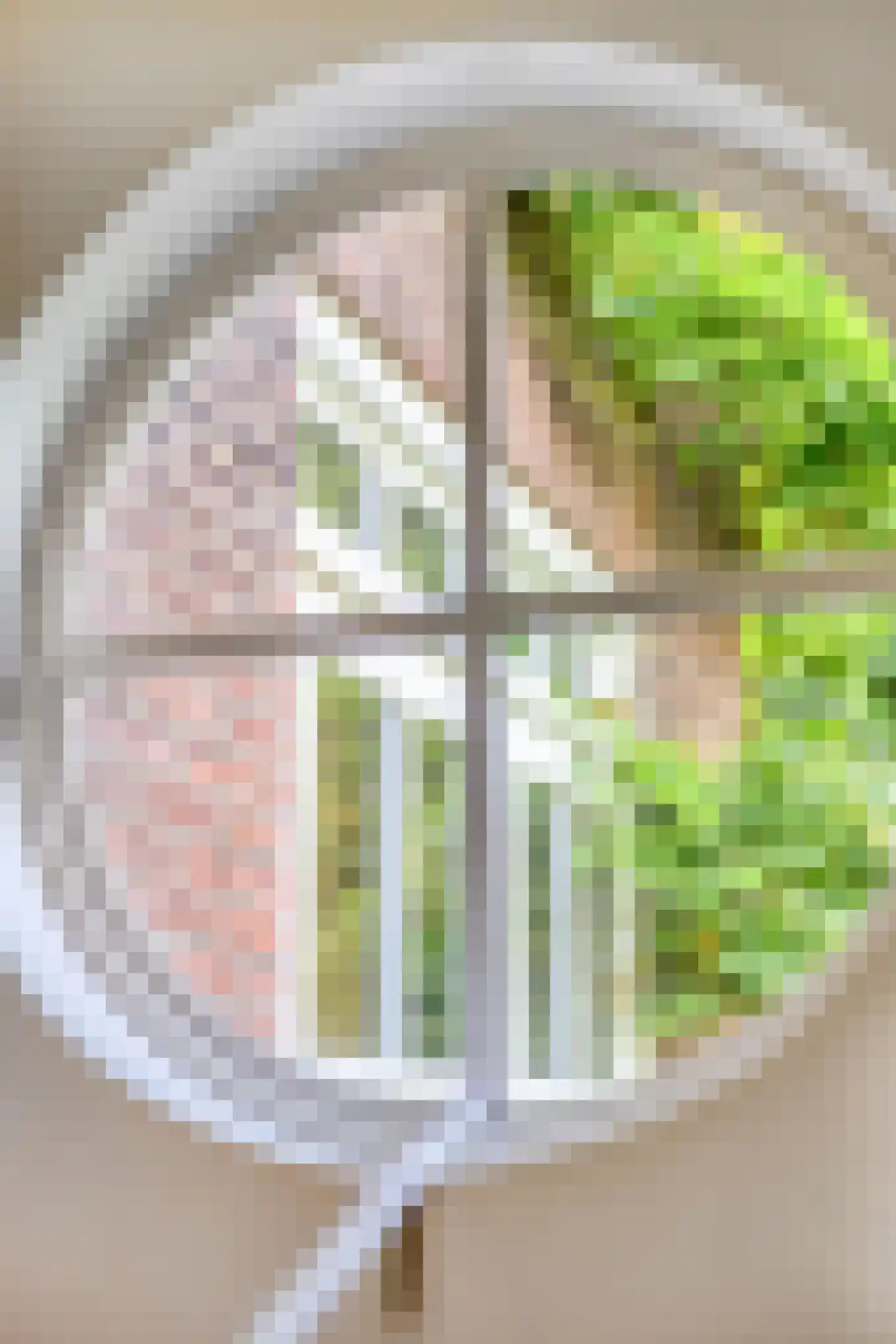 de Genestetlaan 1 Eindhoven thumbnail 21