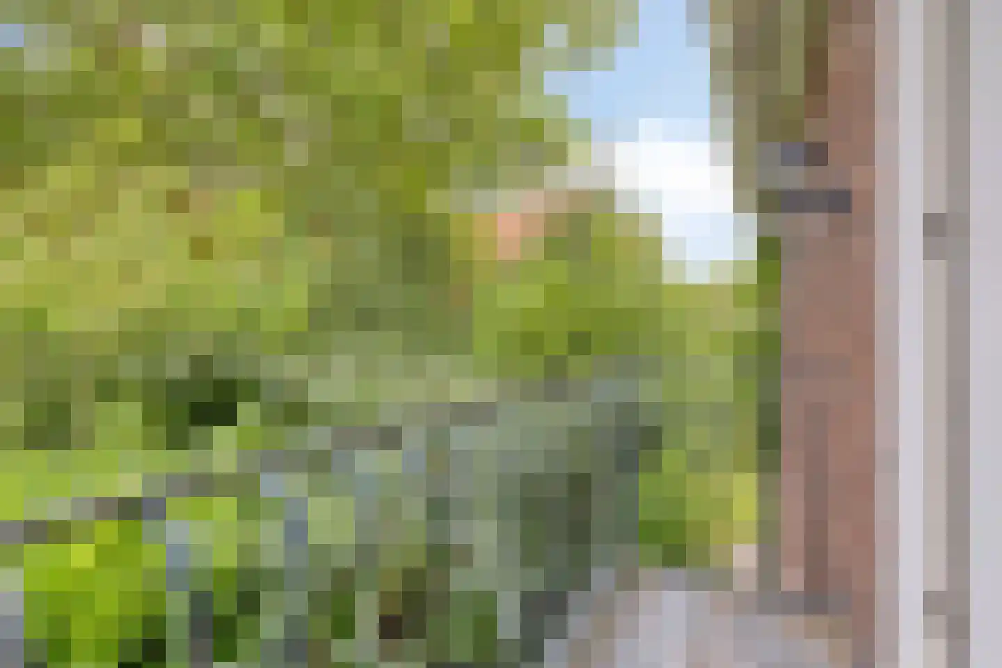 de Genestetlaan 1 Eindhoven thumbnail 26