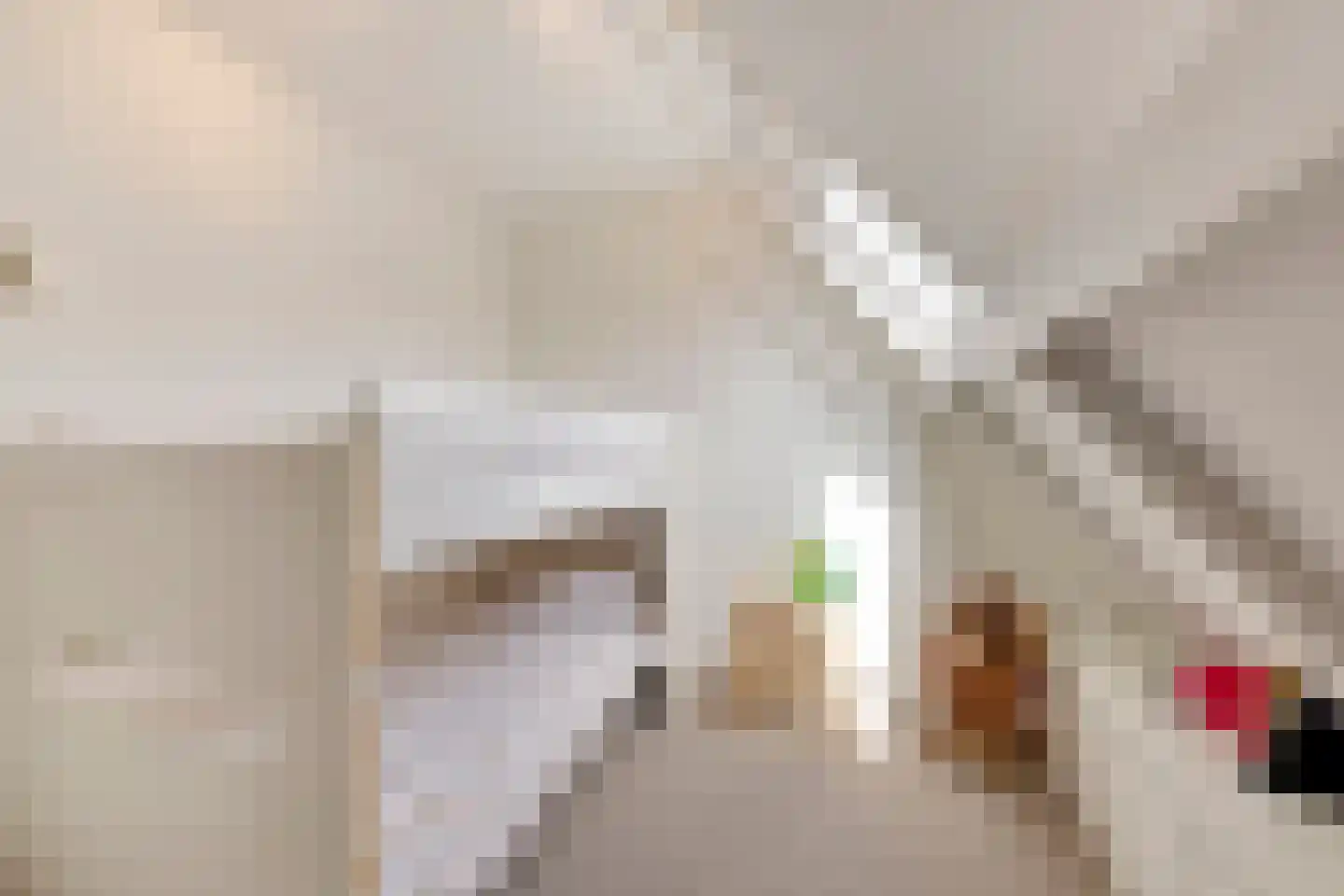de Genestetlaan 1 Eindhoven thumbnail 40