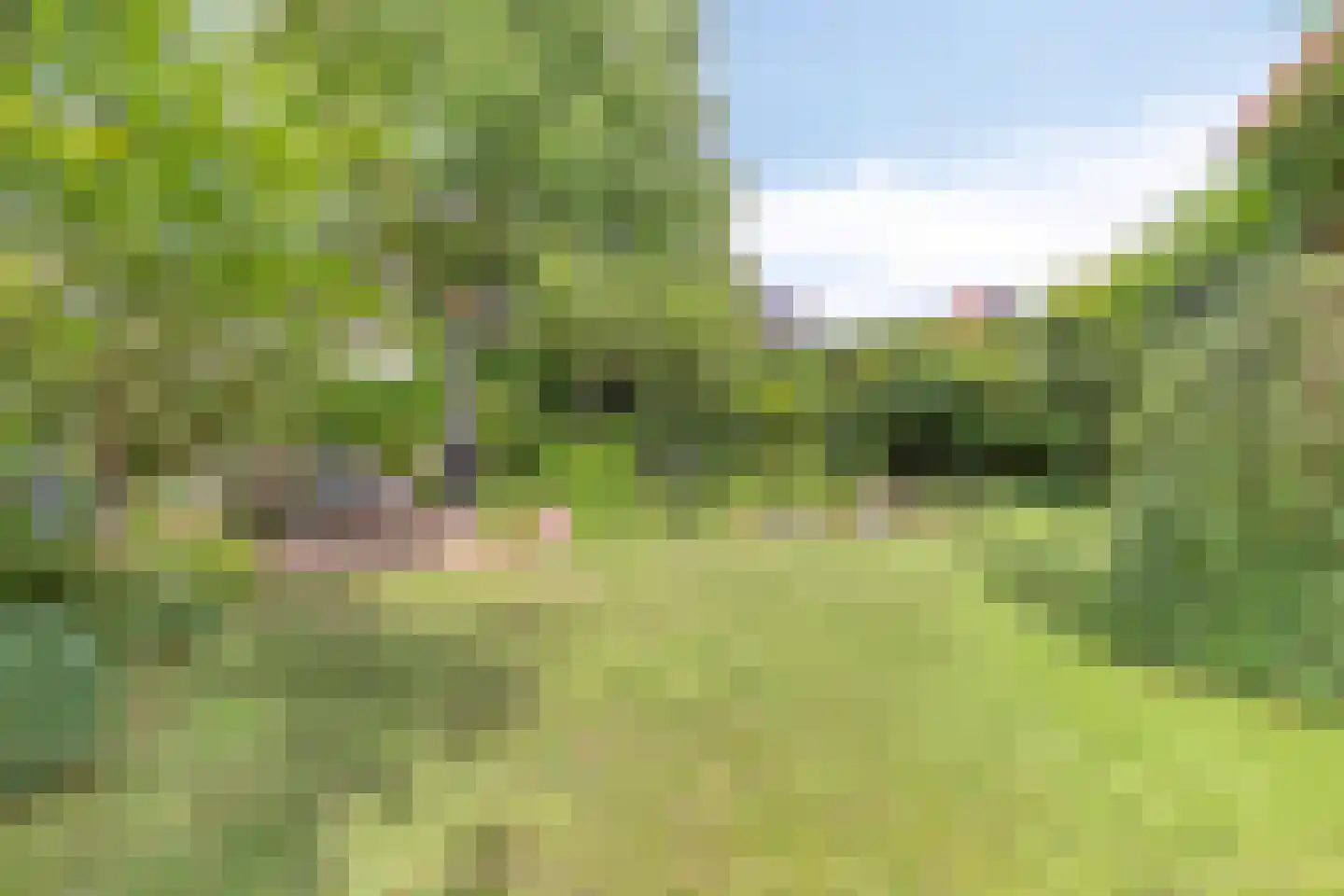 de Genestetlaan 1 Eindhoven thumbnail 44
