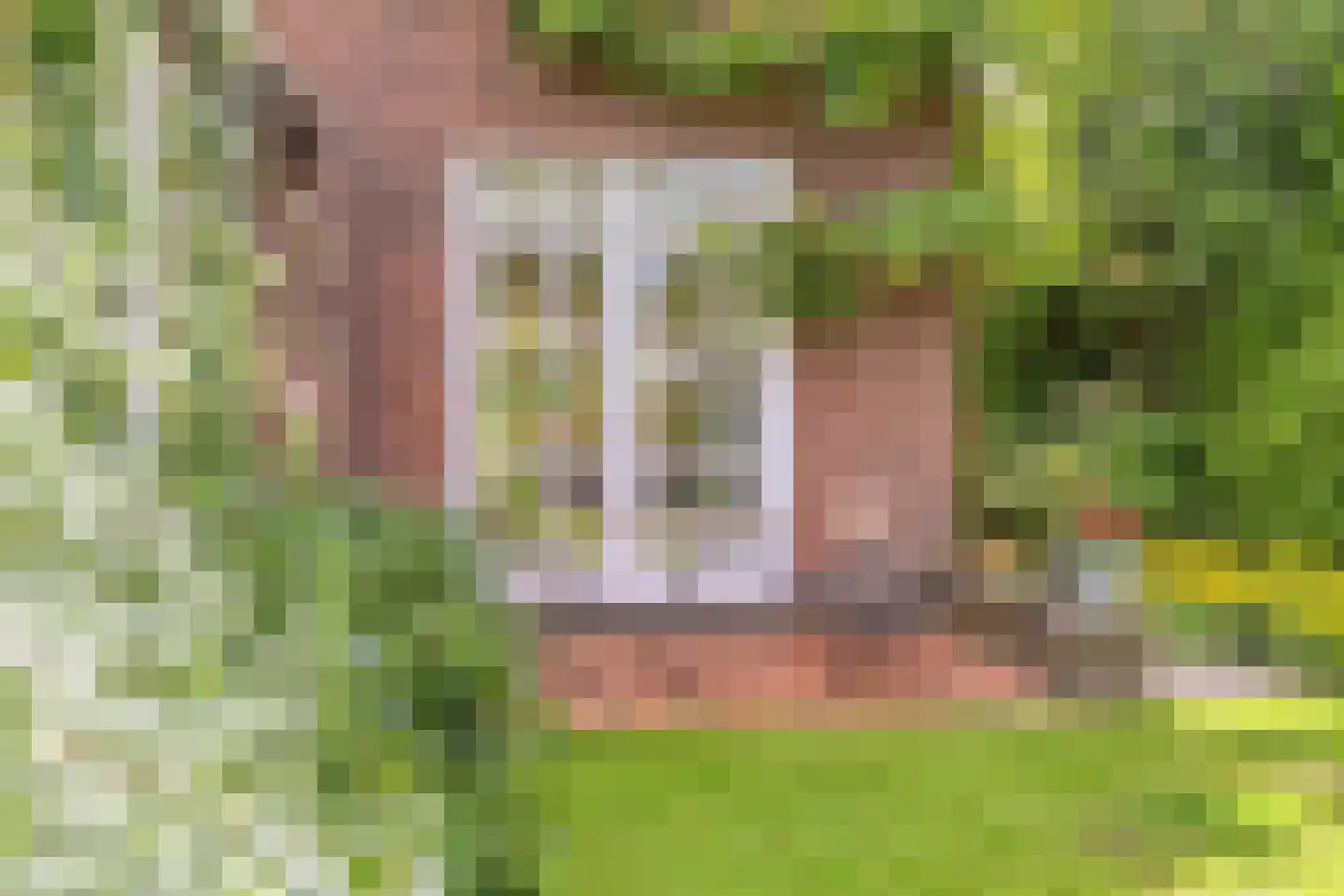 de Genestetlaan 1 Eindhoven thumbnail 49