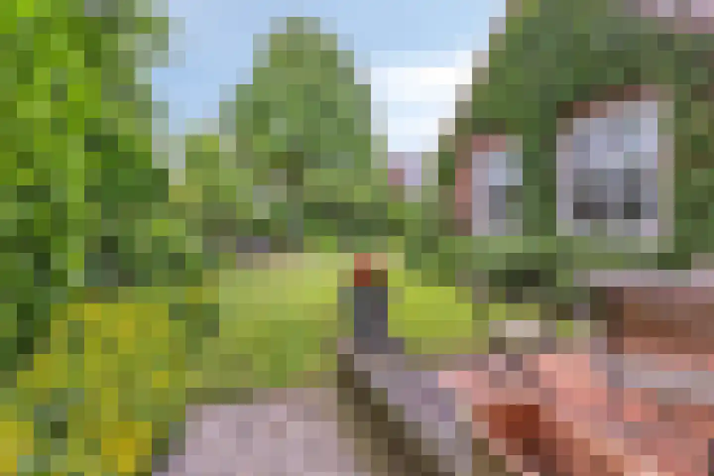de Genestetlaan 1 Eindhoven thumbnail 50
