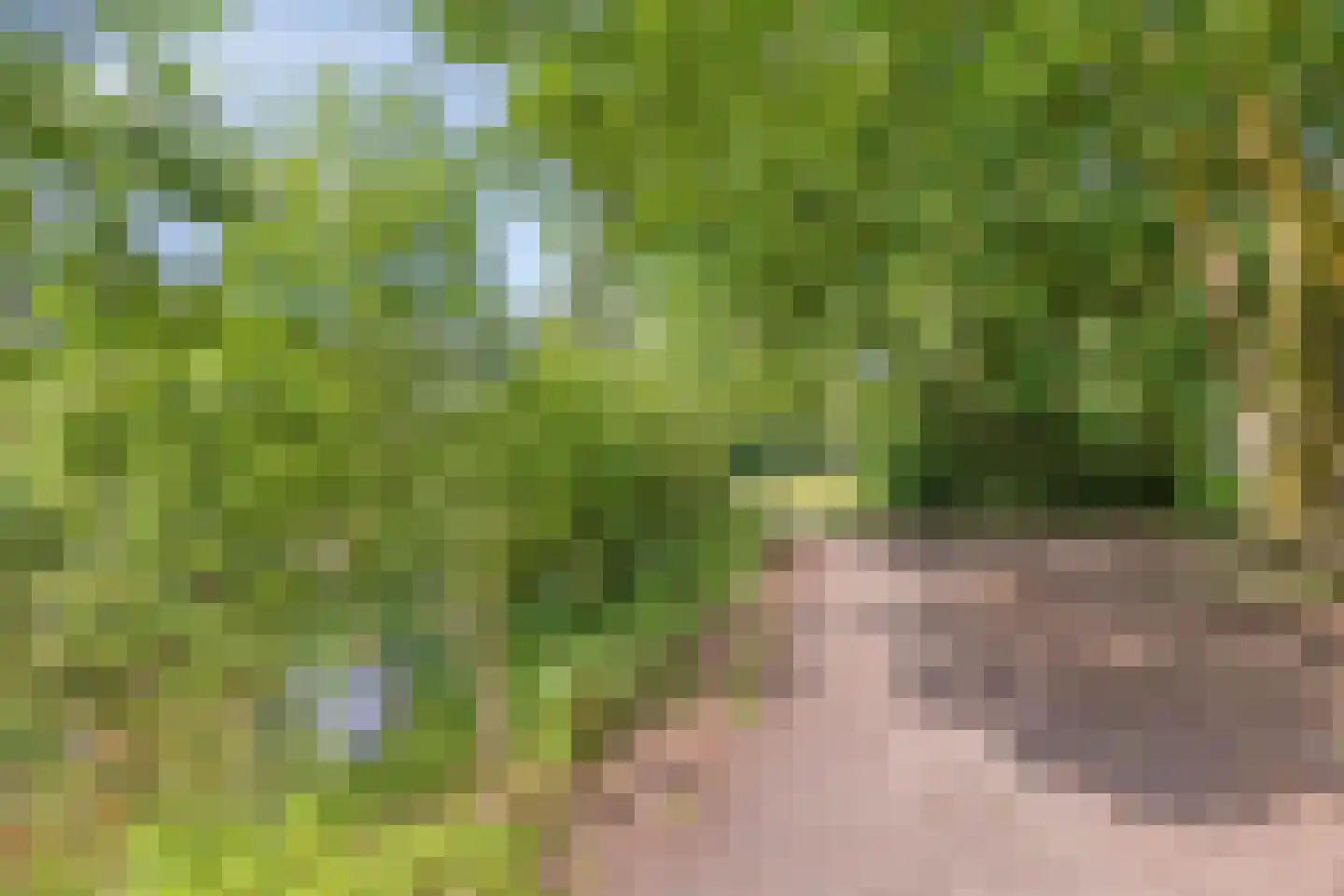 de Genestetlaan 1 Eindhoven thumbnail 53