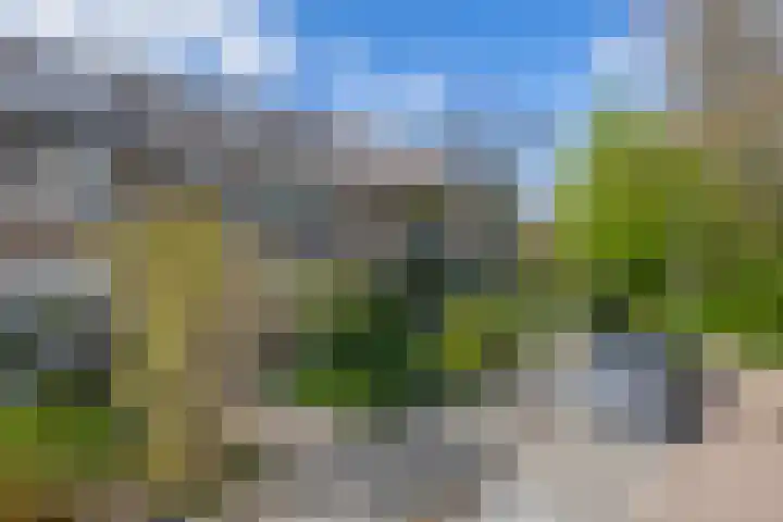de Genestetlaan 100 Waddinxveen