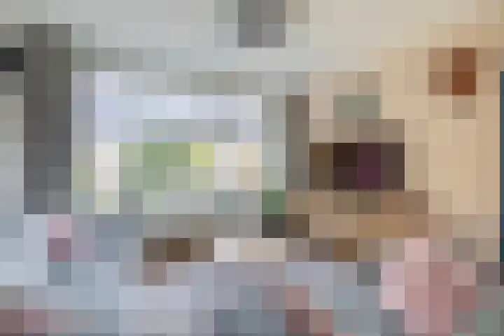de Genestetlaan 100 Waddinxveen thumbnail 12