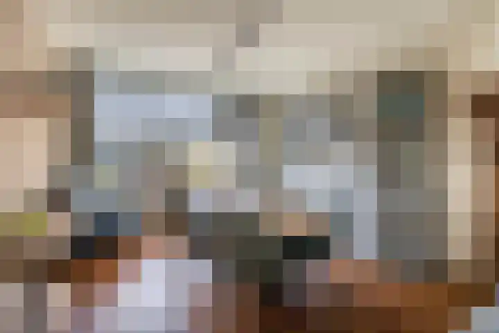 de Genestetlaan 100 Waddinxveen thumbnail 14