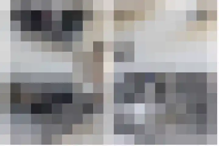 de Genestetlaan 100 Waddinxveen thumbnail 16