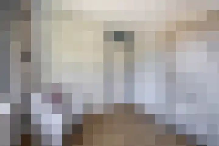 de Genestetlaan 100 Waddinxveen thumbnail 23