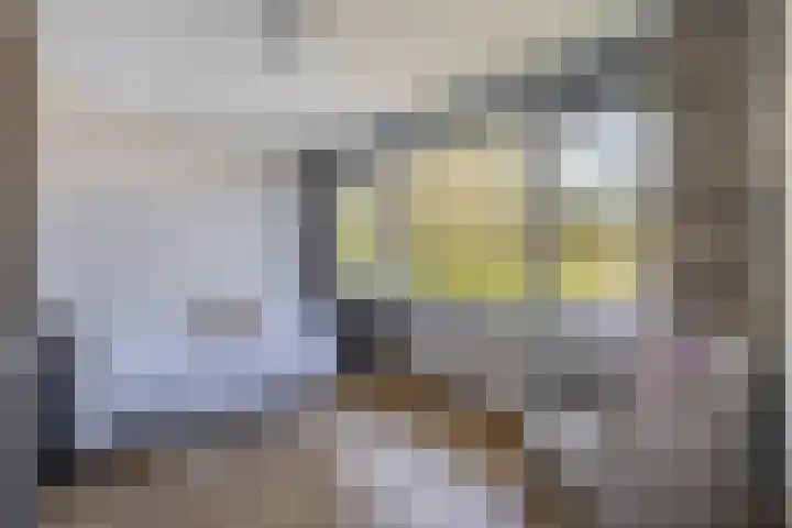 de Genestetlaan 100 Waddinxveen thumbnail 24