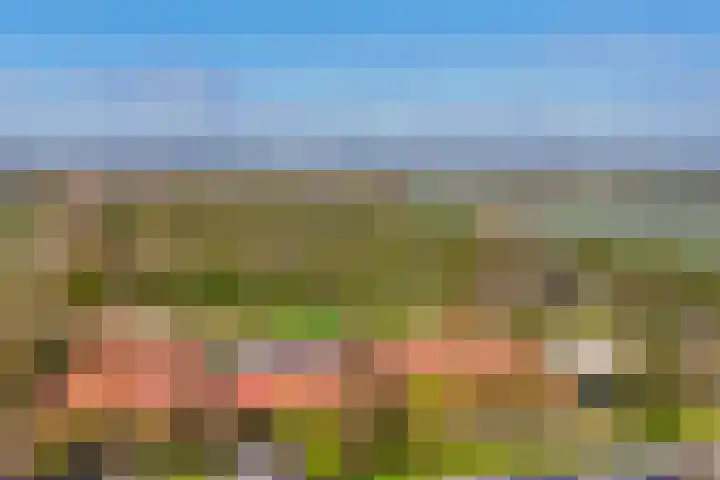 de Genestetlaan 100 Waddinxveen thumbnail 33