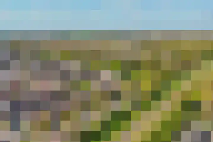 de Genestetlaan 100 Waddinxveen thumbnail 35