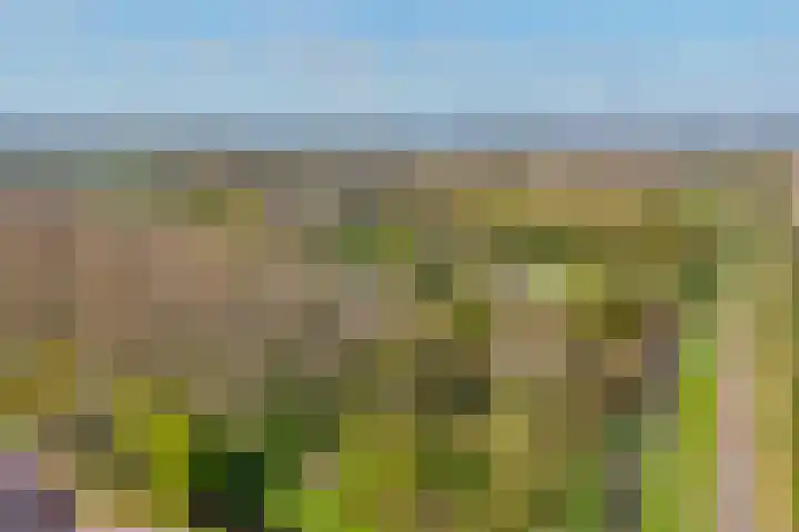 de Genestetlaan 100 Waddinxveen thumbnail 36