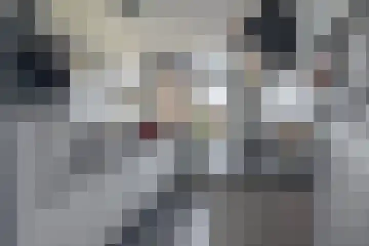 de Genestetlaan 100 Waddinxveen thumbnail 4