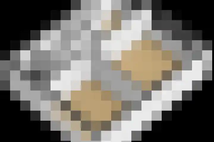 de Genestetlaan 100 Waddinxveen thumbnail 41