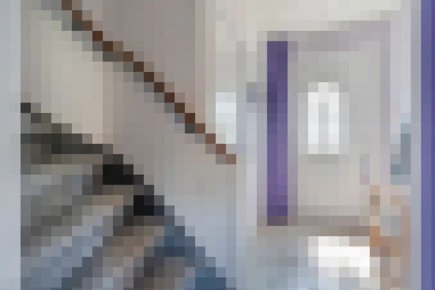 De Genestetlaan 12 Hoogeveen thumbnail 14