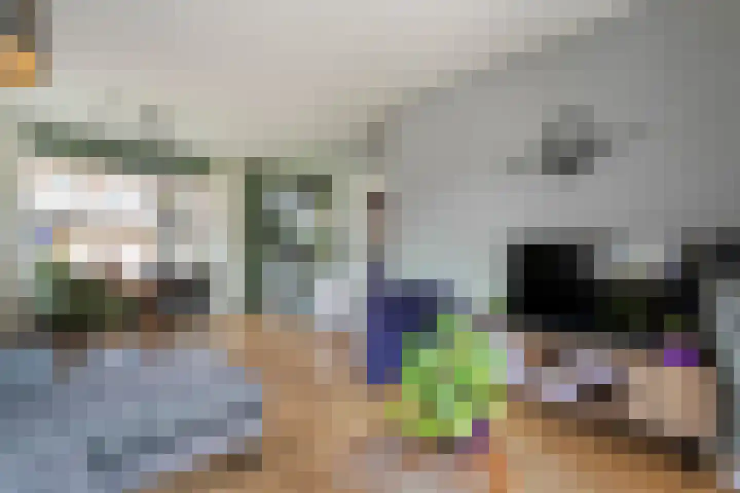 De Genestetlaan 12 Hoogeveen thumbnail 15