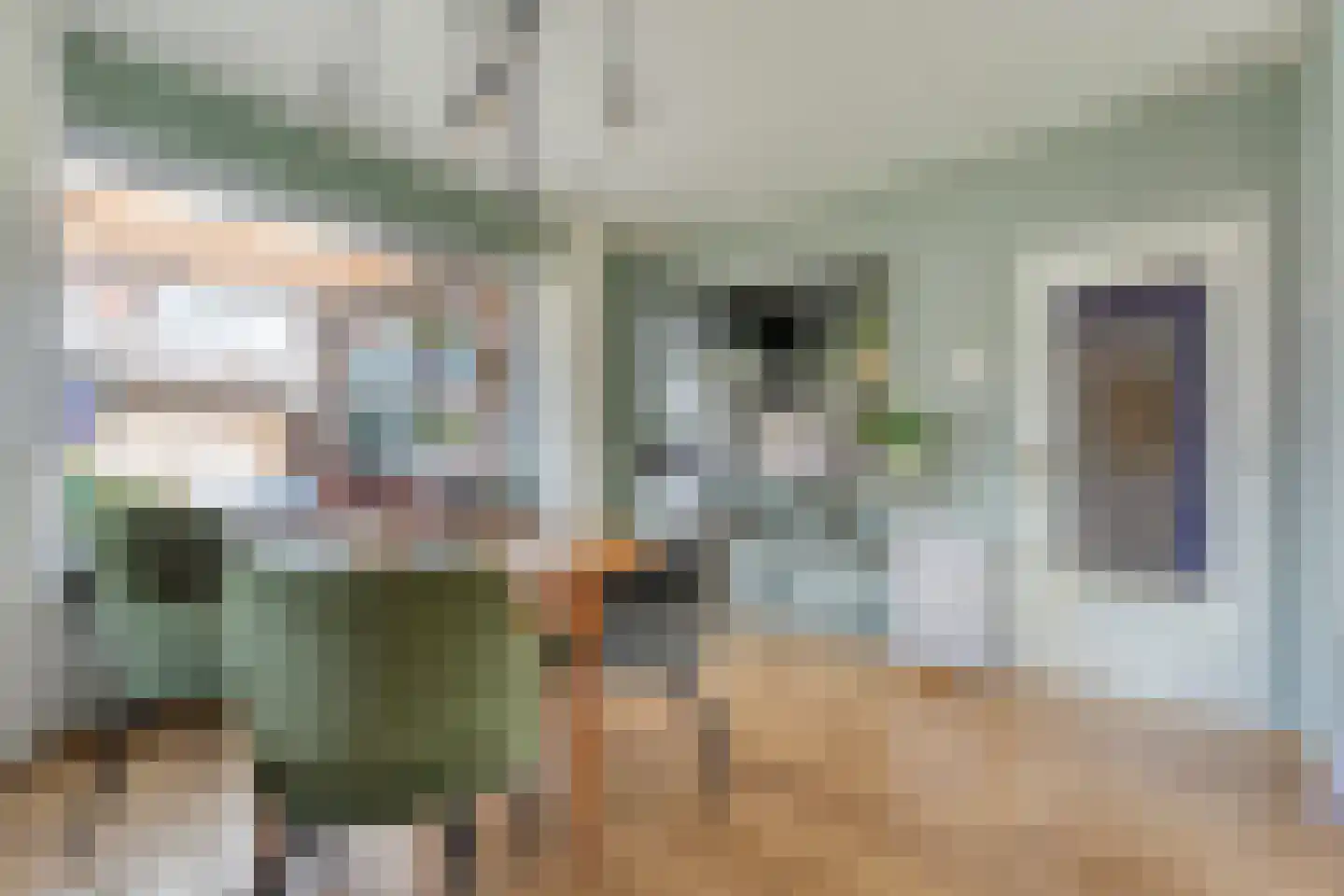 De Genestetlaan 12 Hoogeveen thumbnail 17