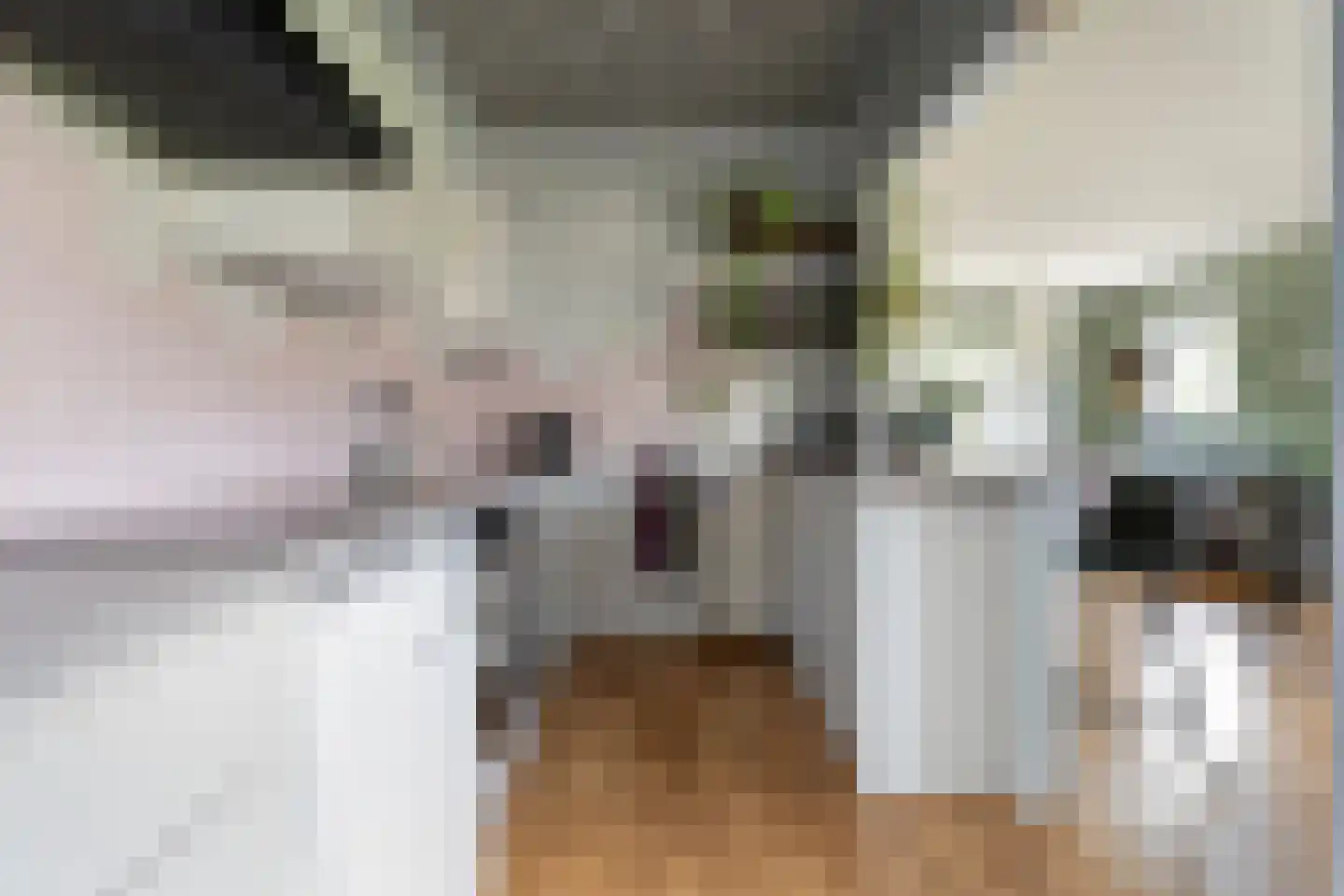 De Genestetlaan 12 Hoogeveen thumbnail 19